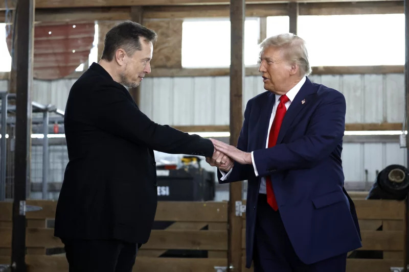 Includes your focus keyword ideas like “federal reform,” “Elon Musk,” and “Donald Trump.